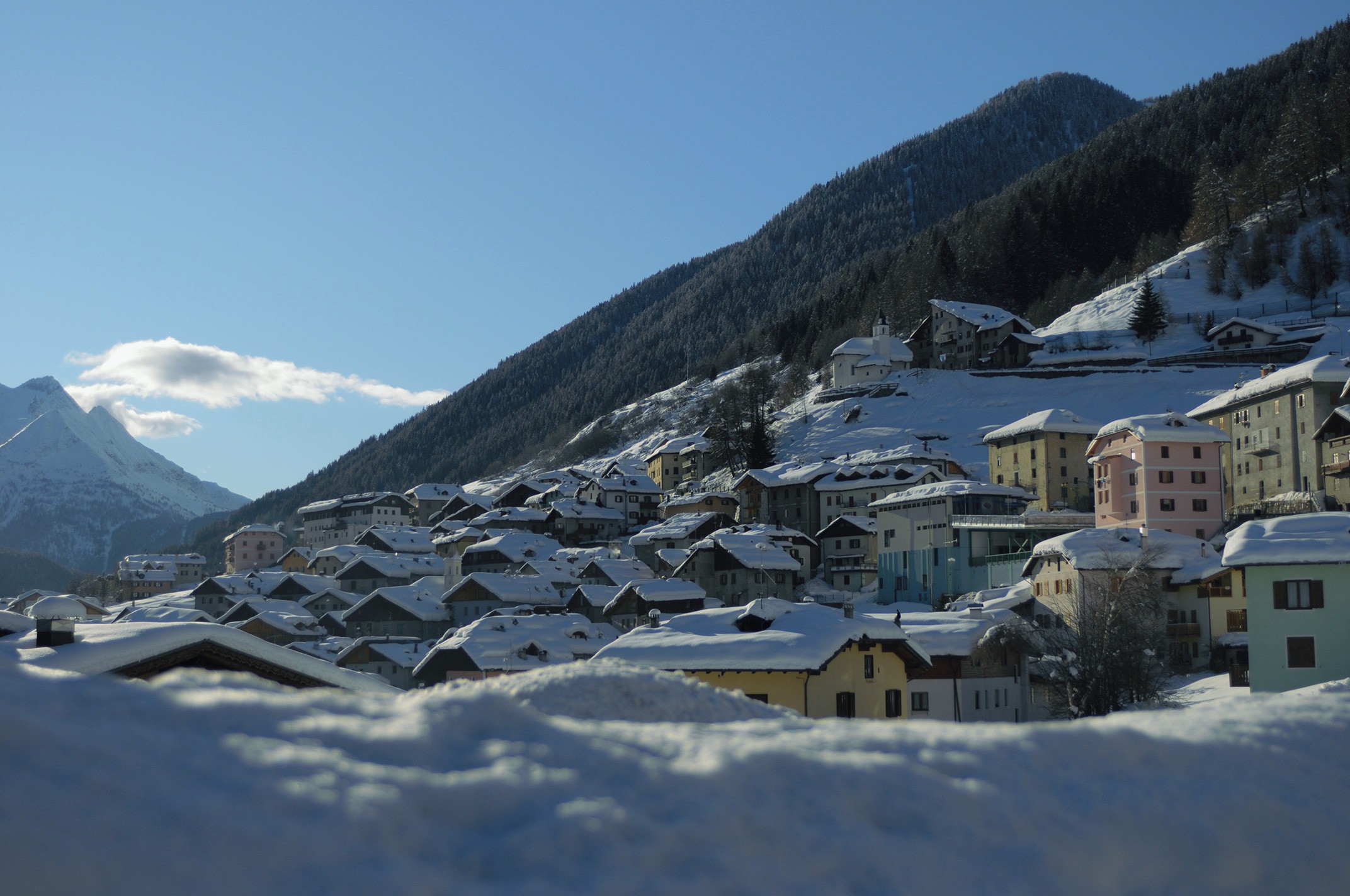 Vermiglio