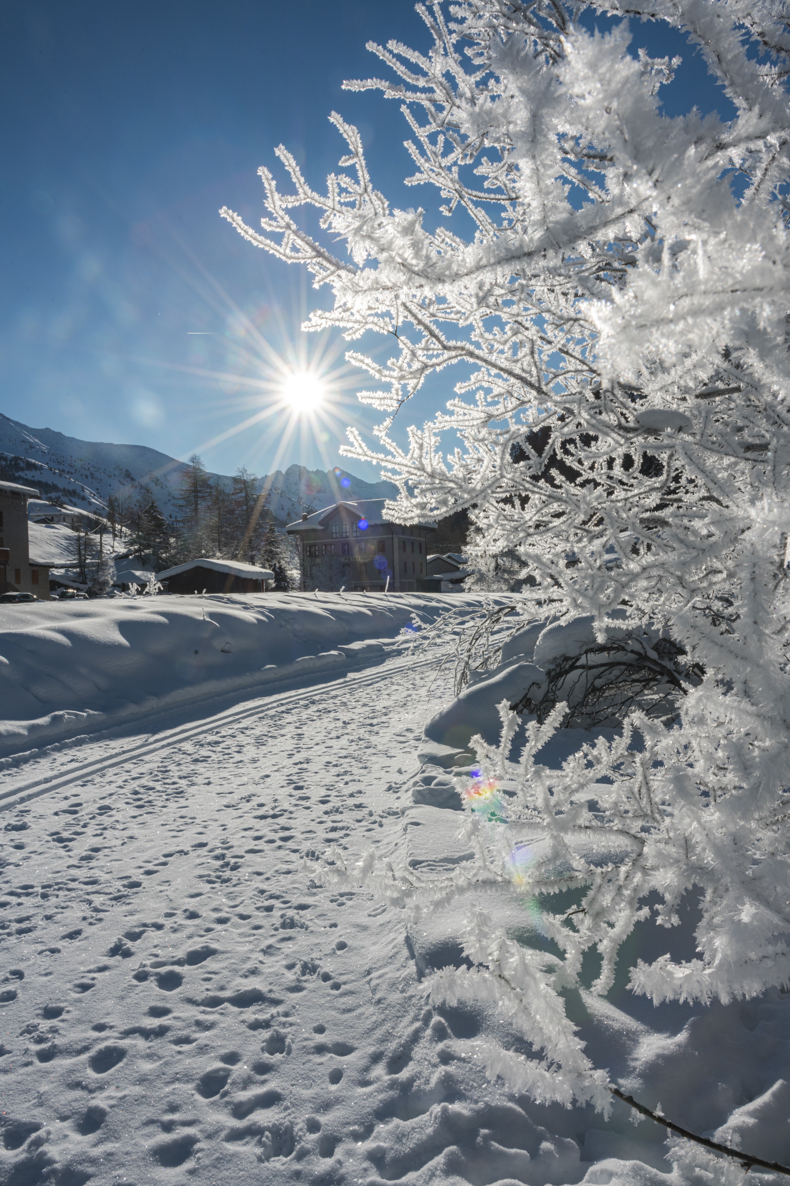 PH Mariotti Mauro RIC7206 PONTEDILEGNO TONALE Inverno