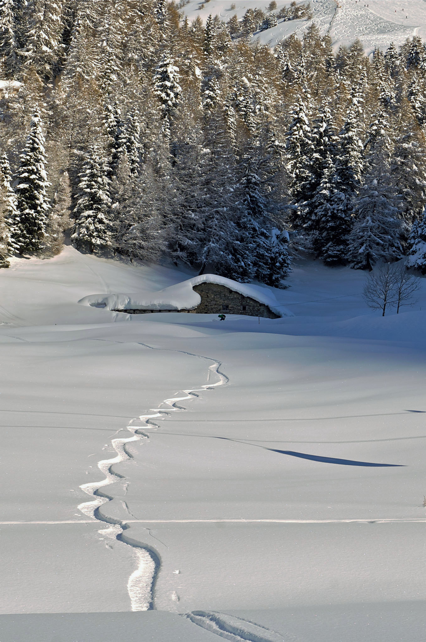 Tonale 16