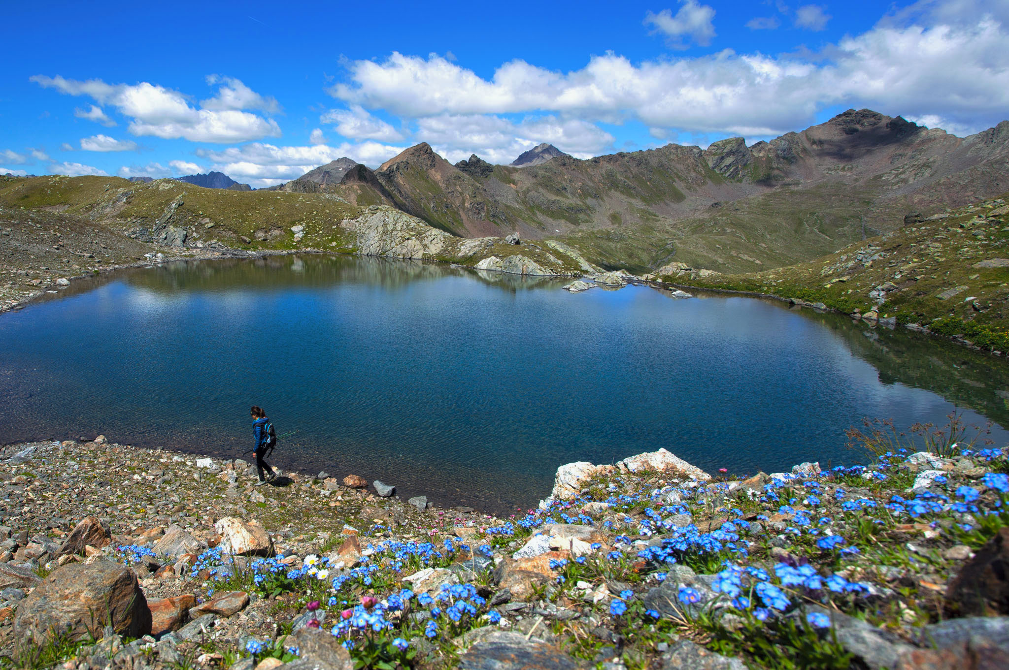 Alpine lake (Ph. Icaro Pigolotti).jpg