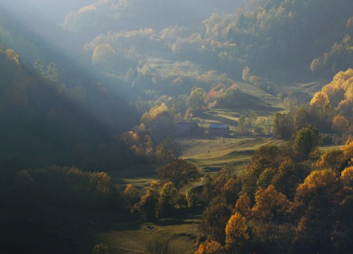 Monno