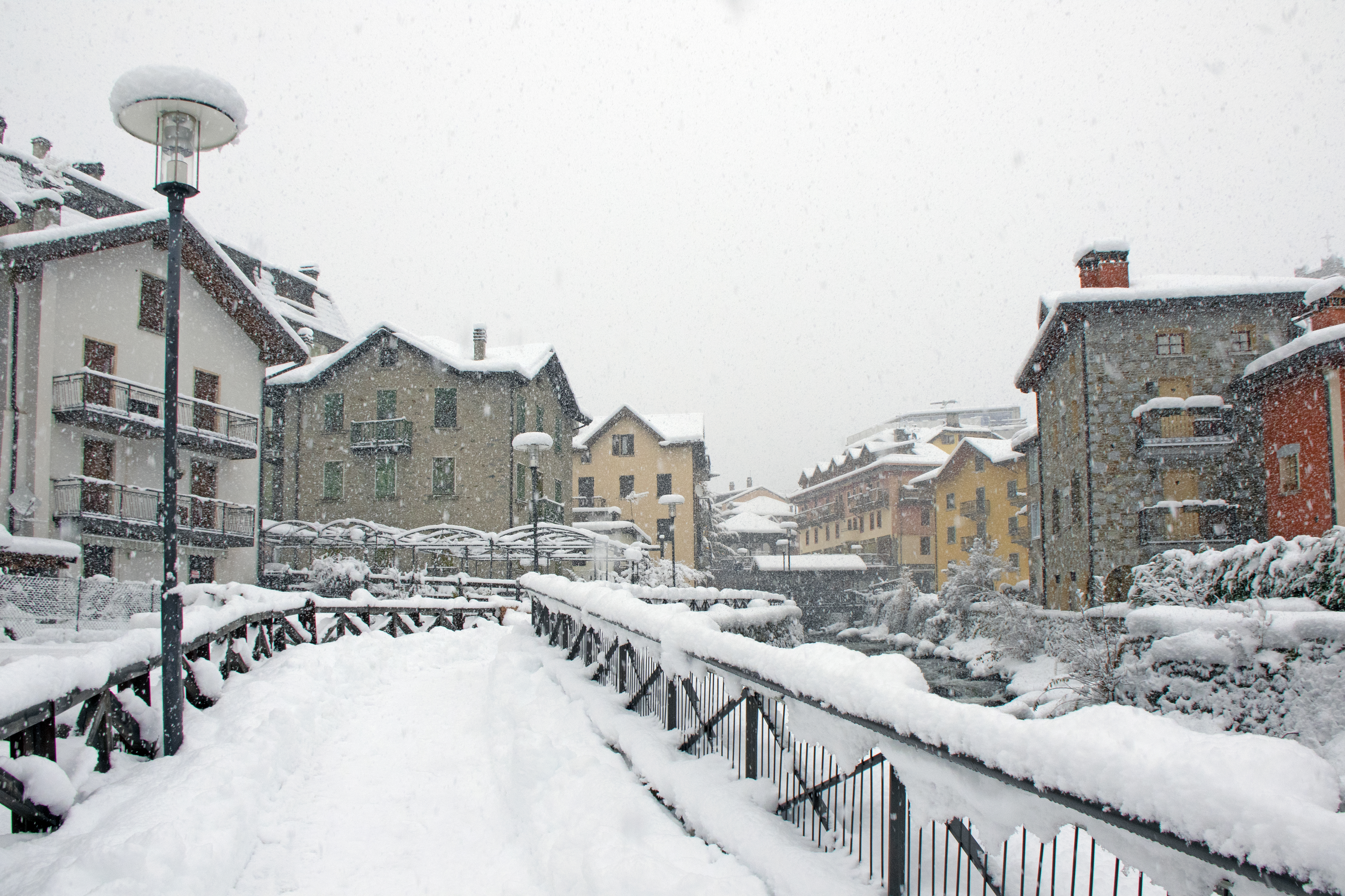 Fiocco Di Neve (1)