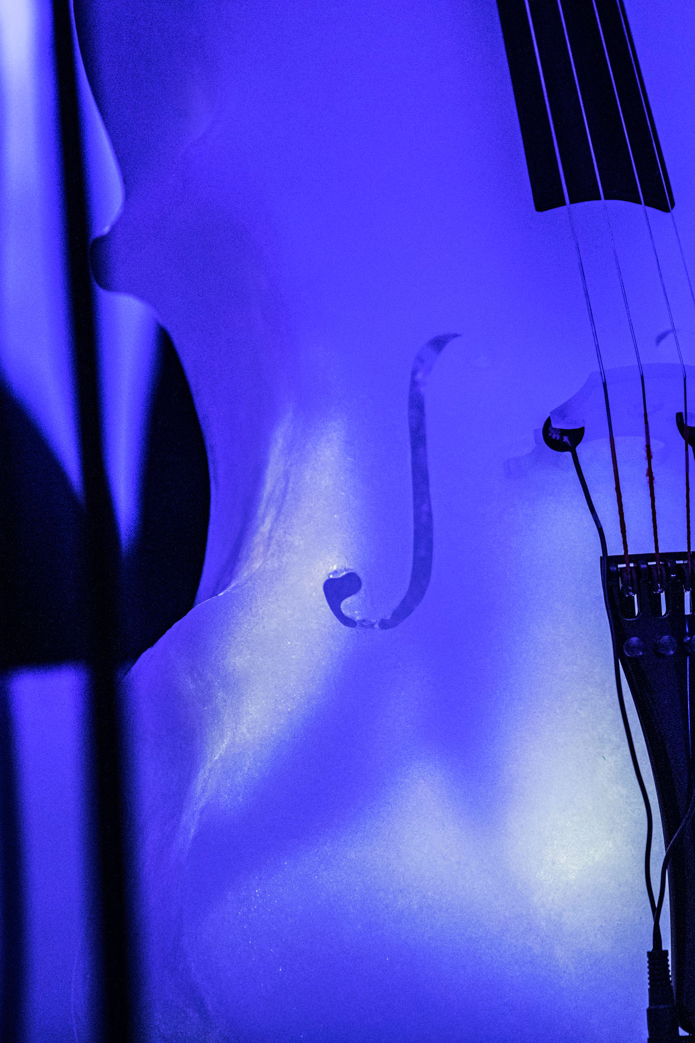 Paradice Music Sel 2023 7