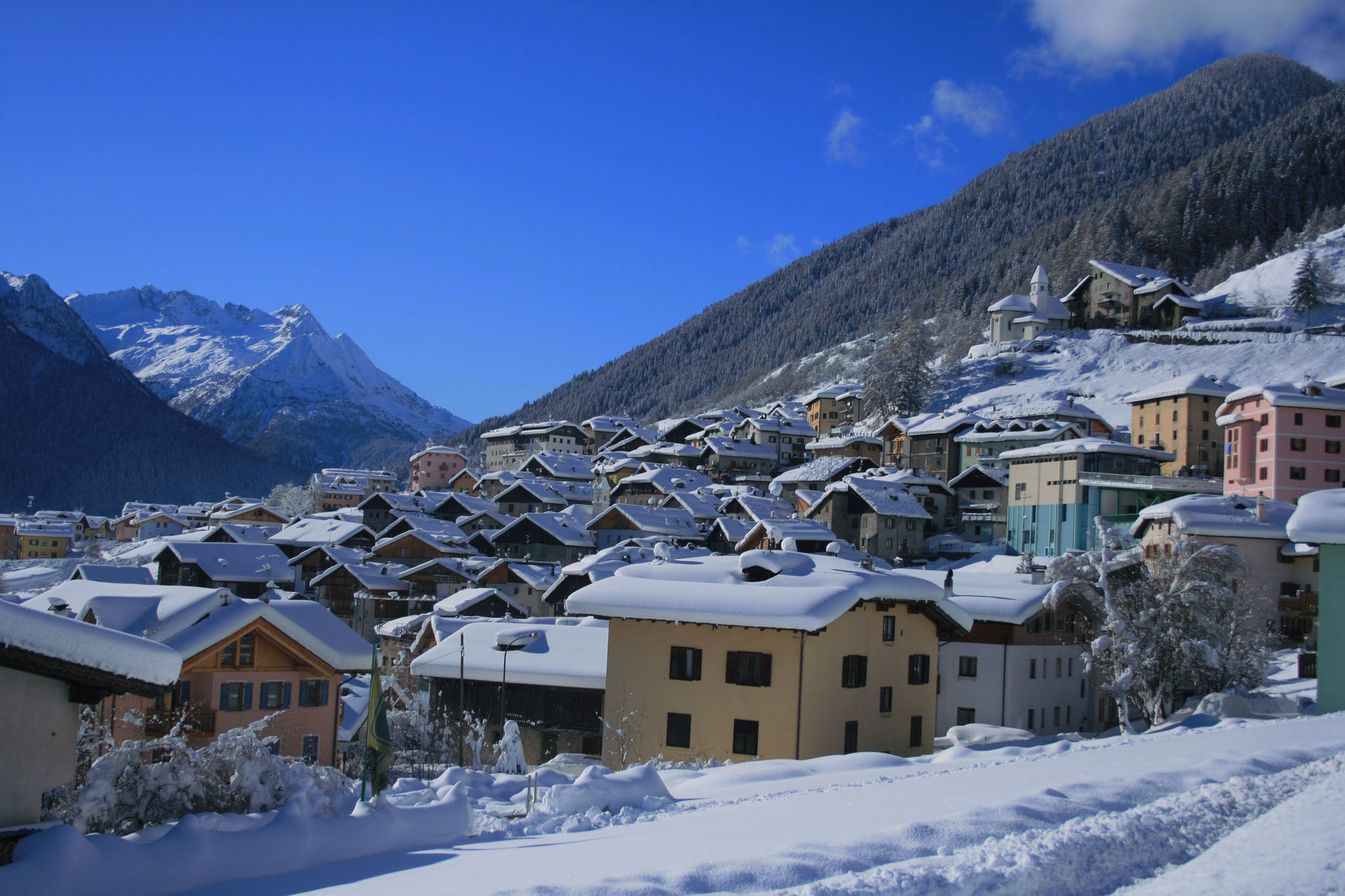 20081203_3375.jpg