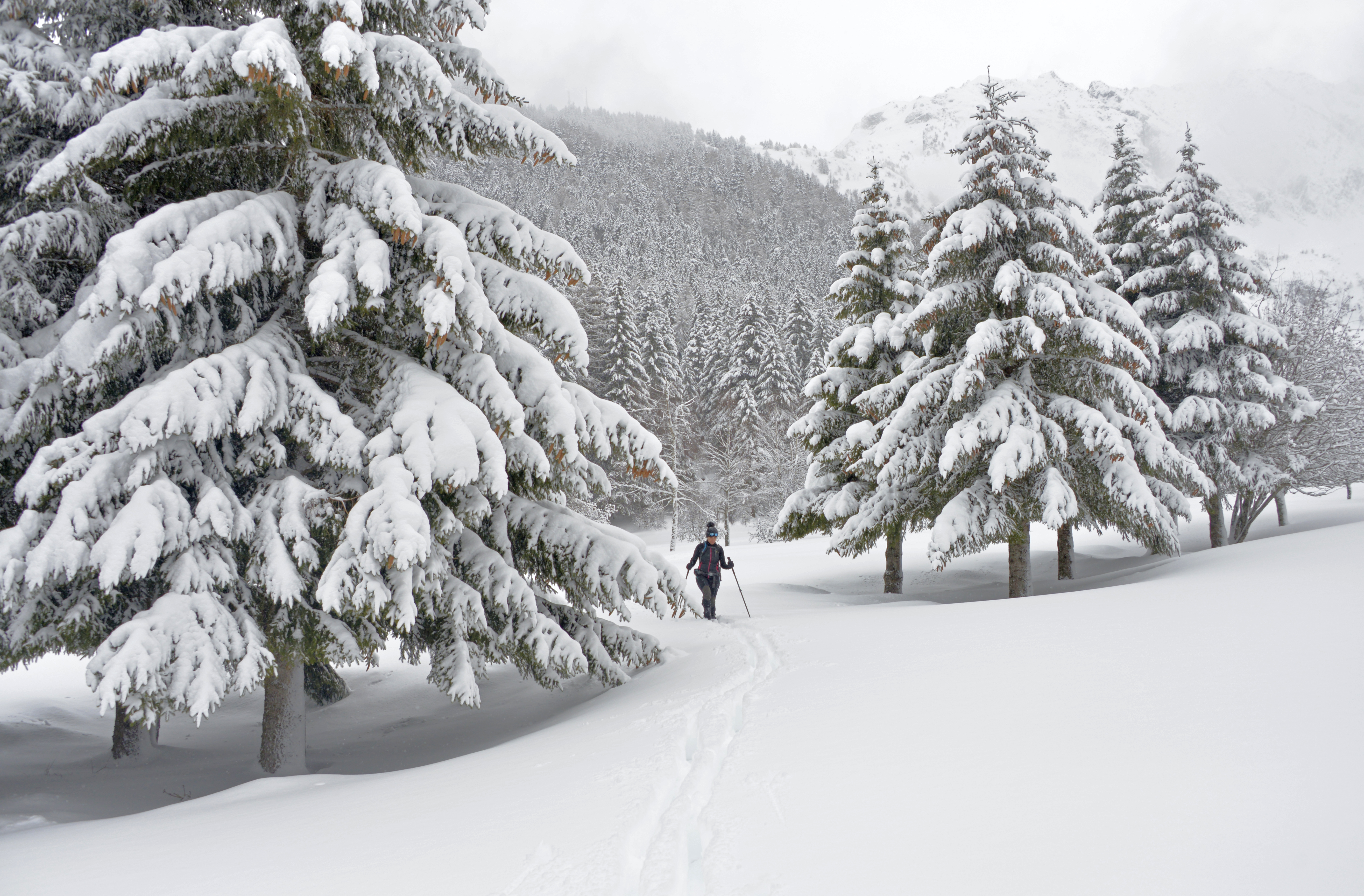 Benvenuto Inverno (1)